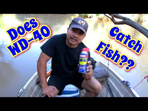 Fishing With WD 40