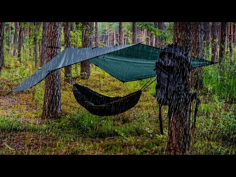 The Truth About Hammock Camping!
