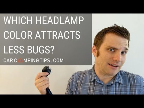 Which Light Color Attracts the Least Bugs?