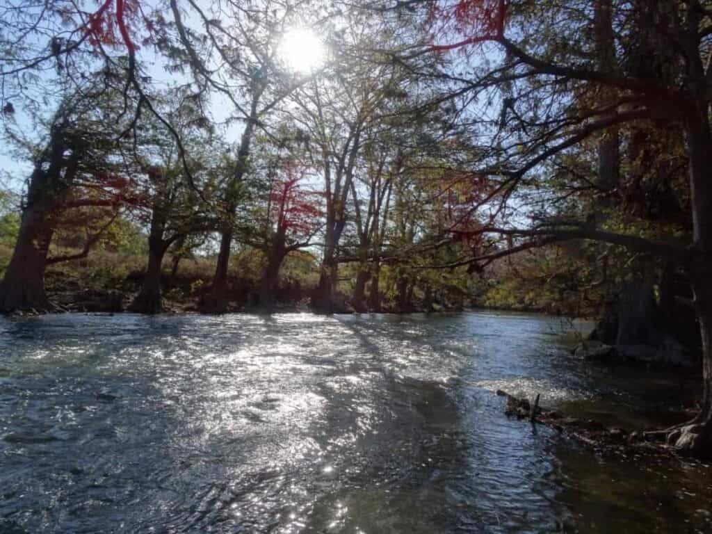 Guadalupe River with the sun filtering through the trees, reflecting on the water. 
