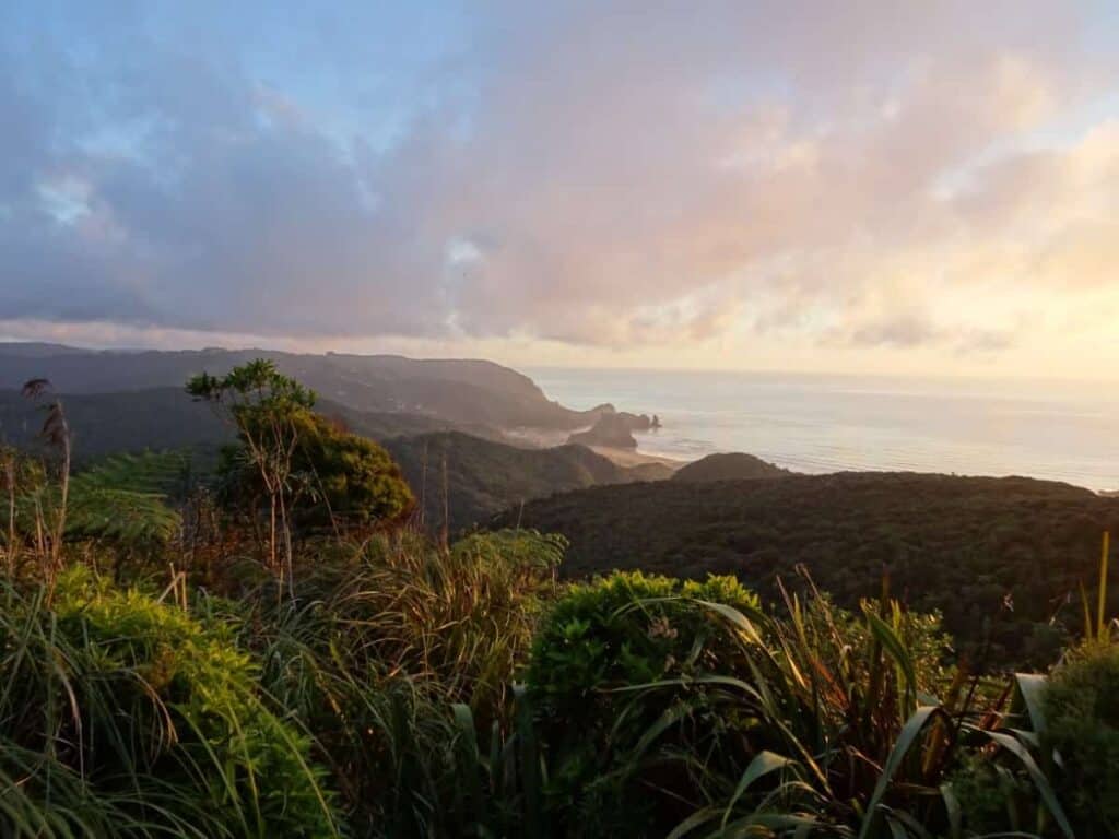 beautiful-sunset-piha-bay-new-zealand