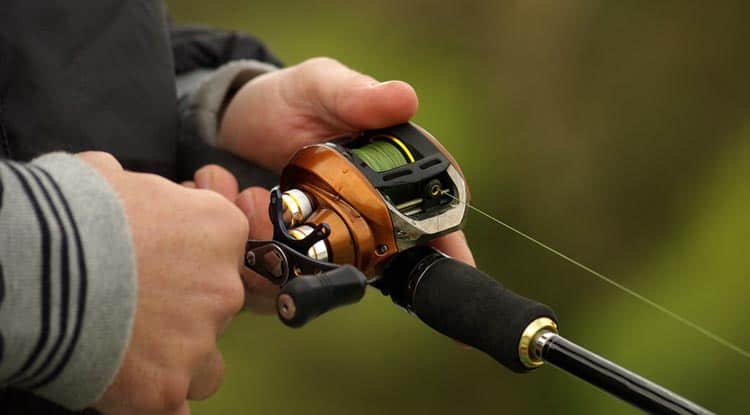 5 Best Baitcasting Reels For Beginners (Includes Buying Guide) – Decide  Outside – Making Adventure Happen