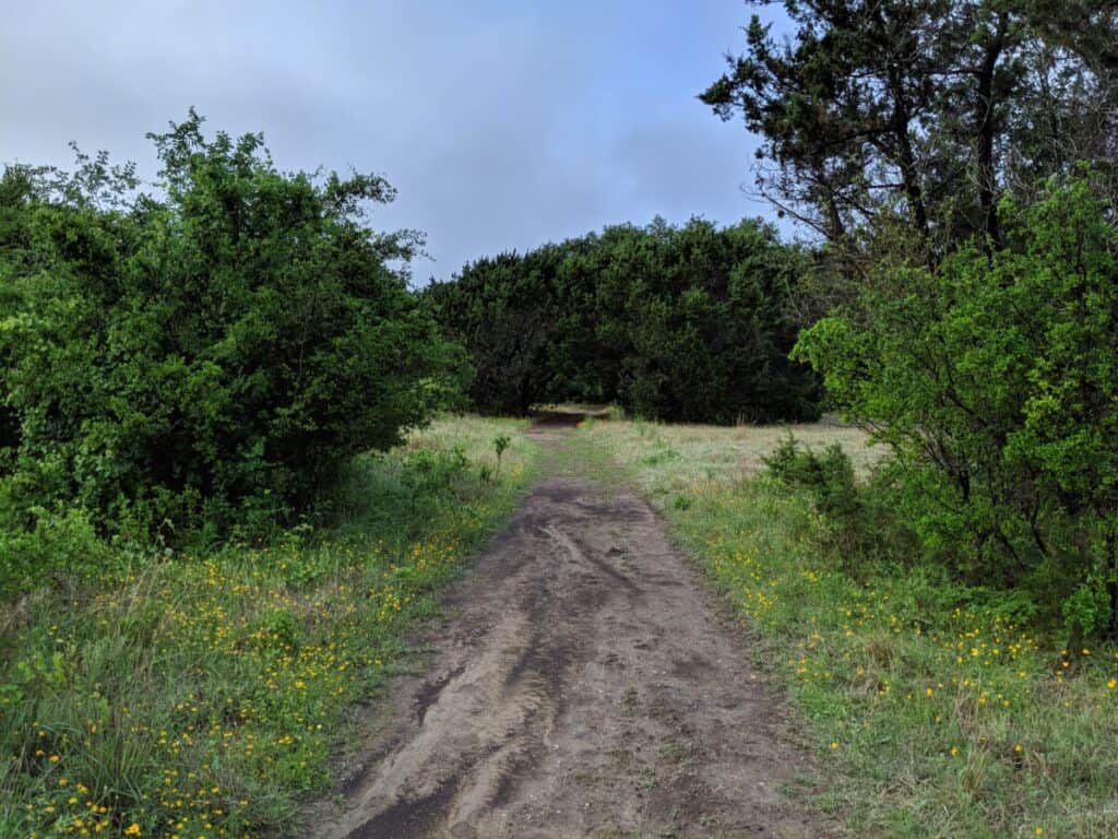 path-to-campsite-hill-country-natural-area-wildflowers-trees-cloudy-sky