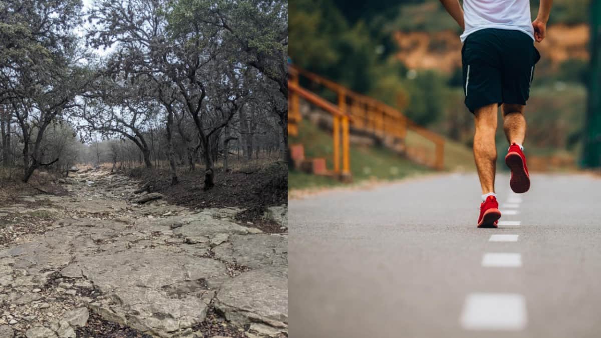 Trail Running vs Road Running: Difficulty, Experience, Mindset