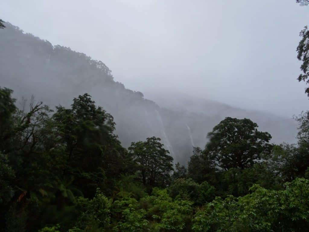 rainy-weather-beautiful-forest-waterfalls