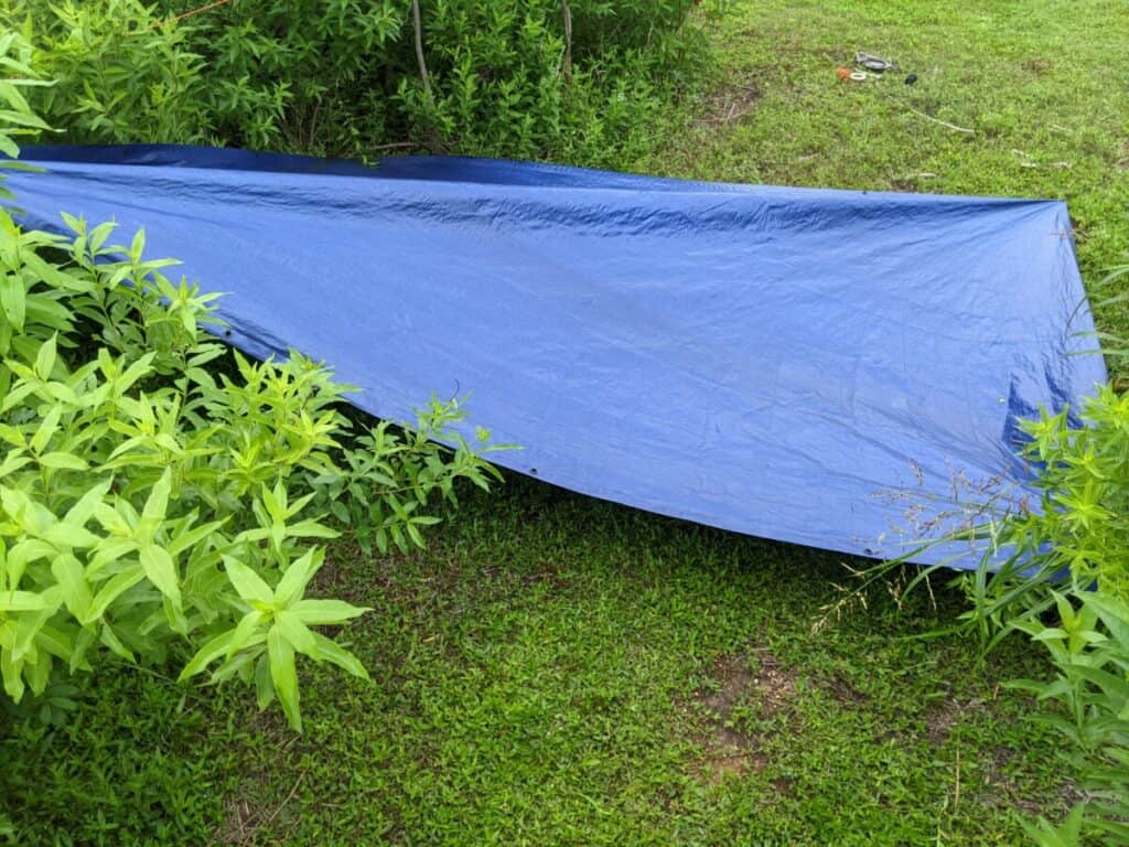 tarp anchored to one tree above ground with all other corners anchored
on the ground.